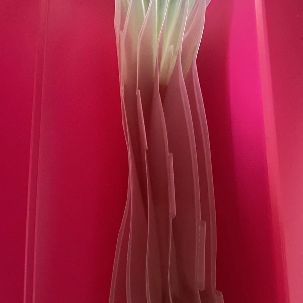 Hot Pink File Folder/Looseleaf Notebook Organizer
